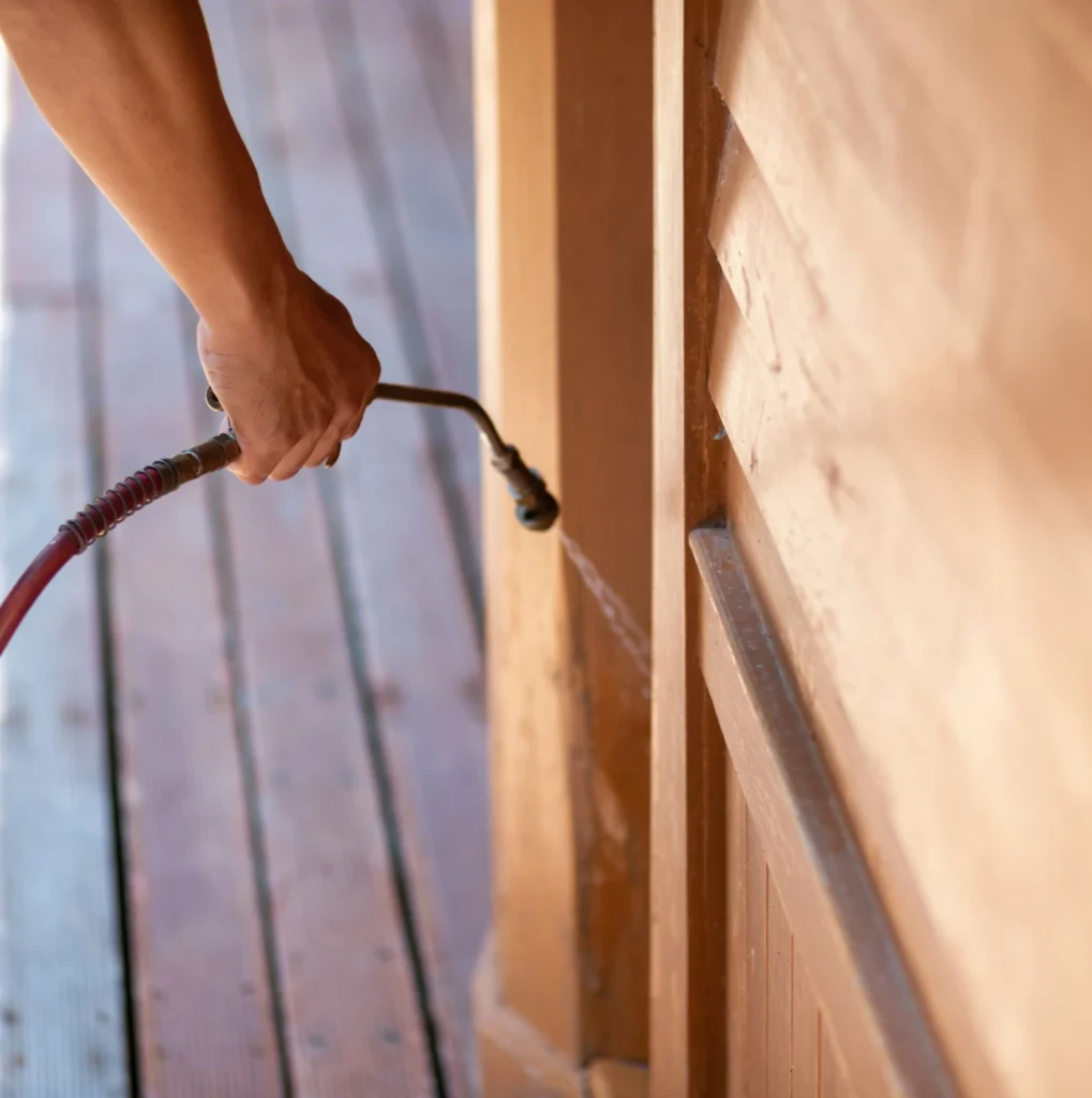 Trusted Pest Control - North Bergen Pest Control Pros | North Bergen, NJ | 201-646-5568